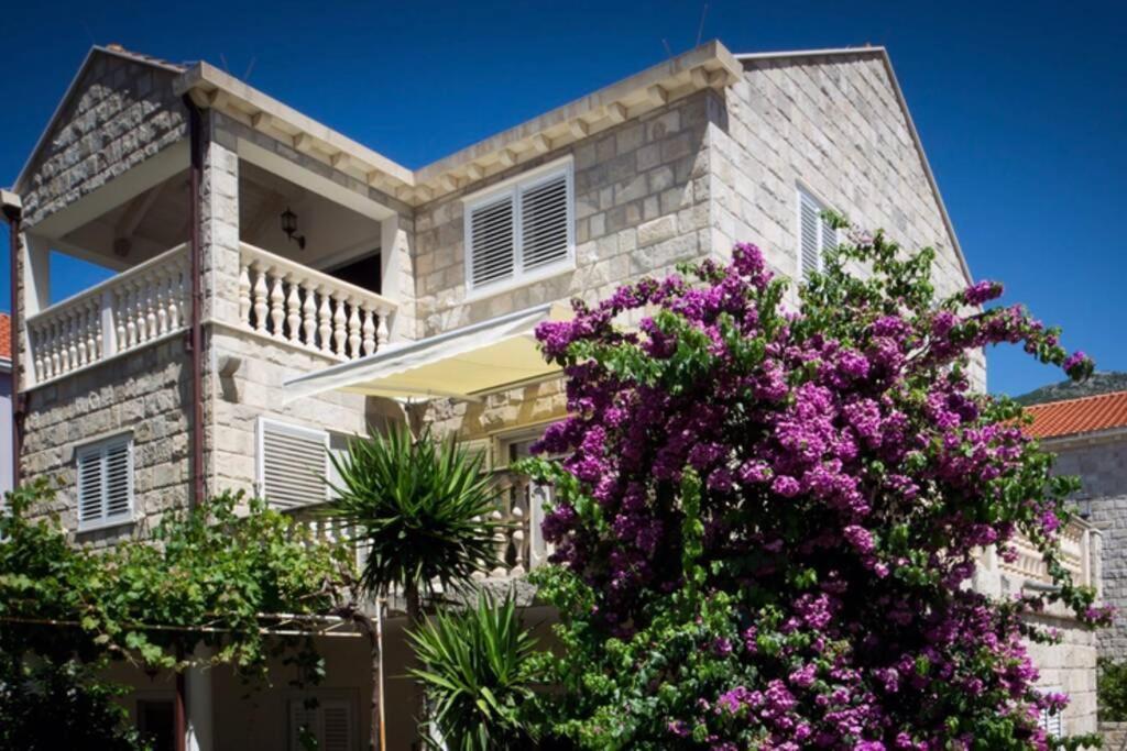 Relax Comfy Cozy Apartment Cavtat Εξωτερικό φωτογραφία